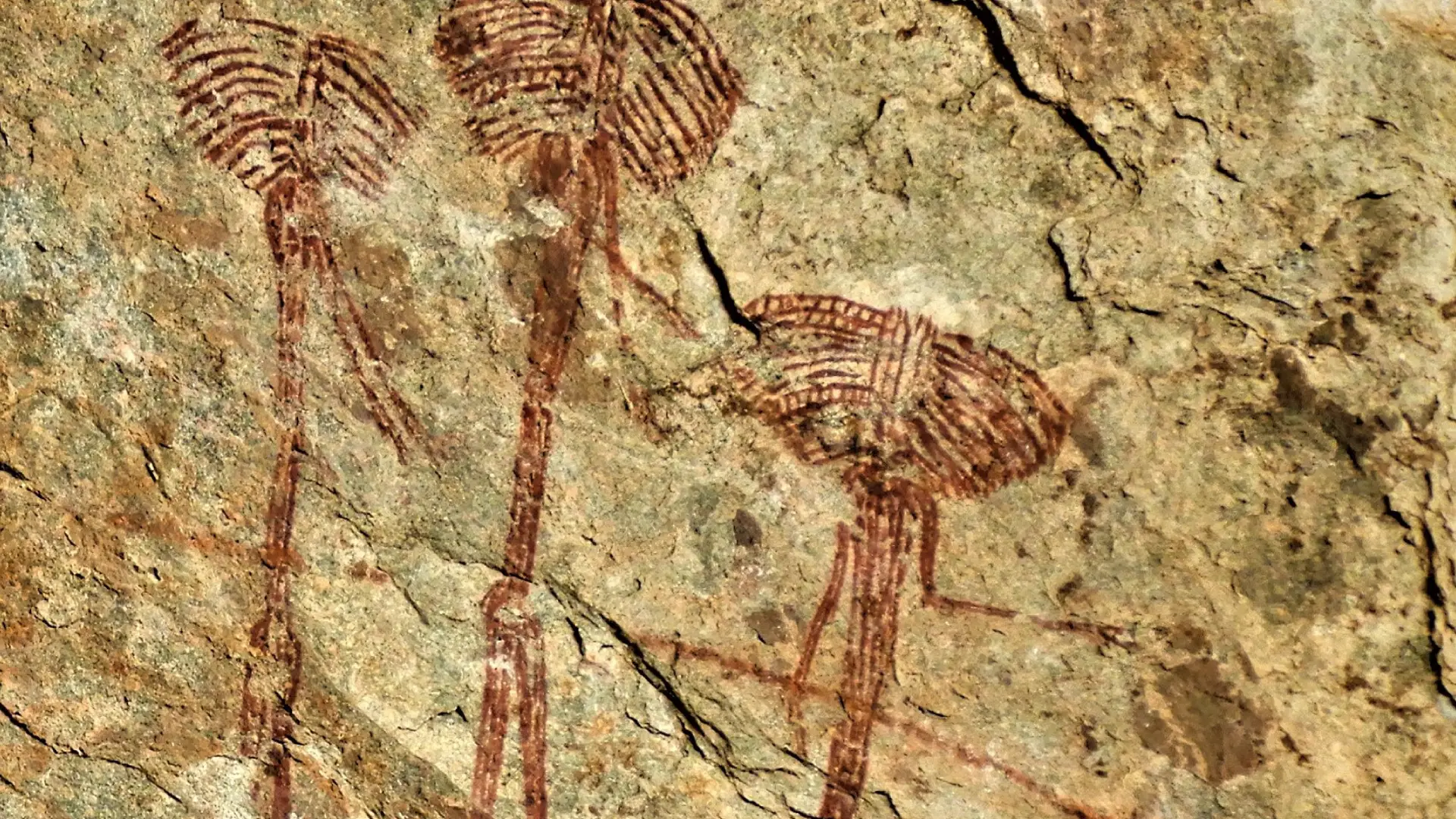 Wigala -& Kondoa -Rock -Paintings -Day -Trip