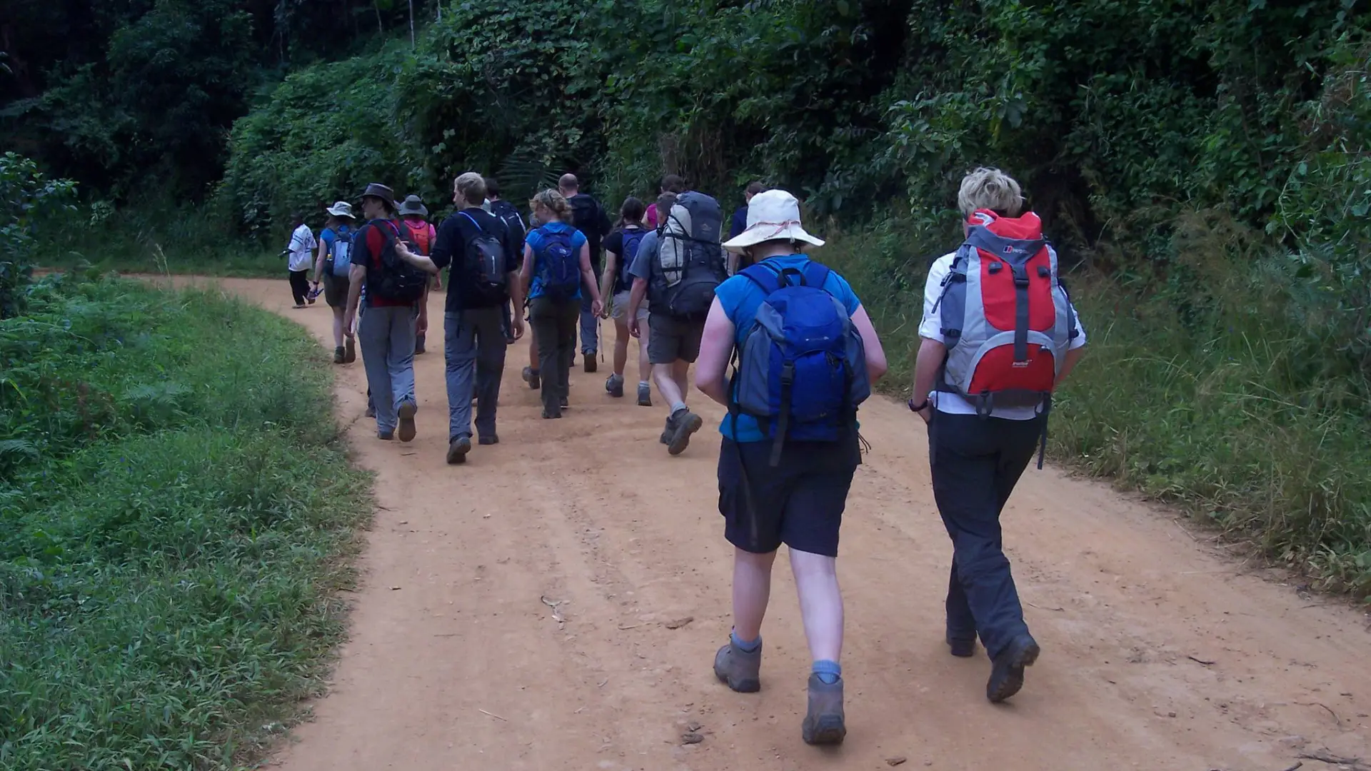 Uluguru -Mountains- Hike- Day -Trip