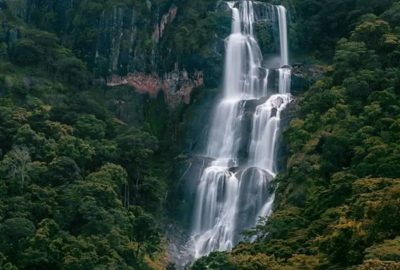 Udzungwa -Mountains -National -Park