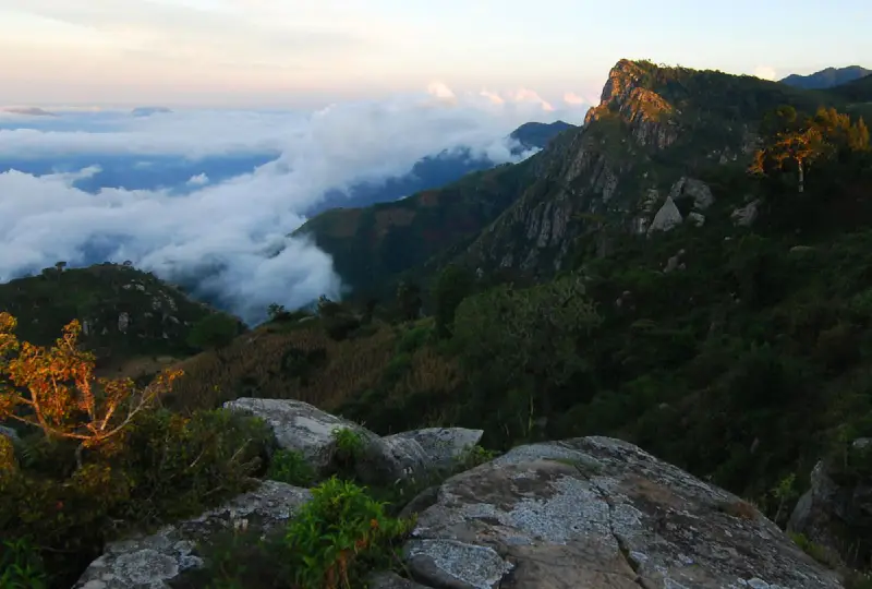 Pare Mountains