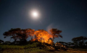 Planning a Night Sky Safari in Tanzania