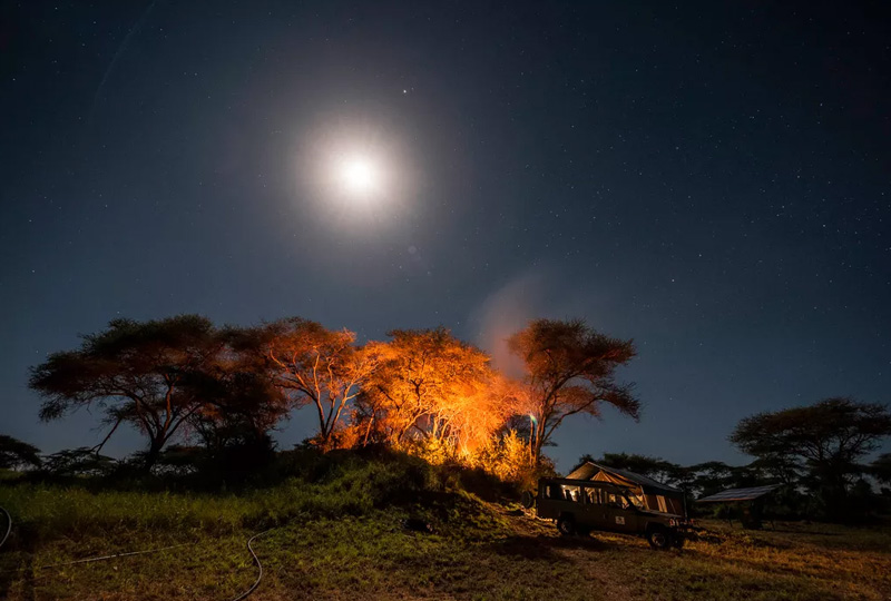 Planning a Night Sky Safari in Tanzania