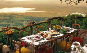 Plant-Based Dining on Safari: From Serengeti to Ngorongoro
