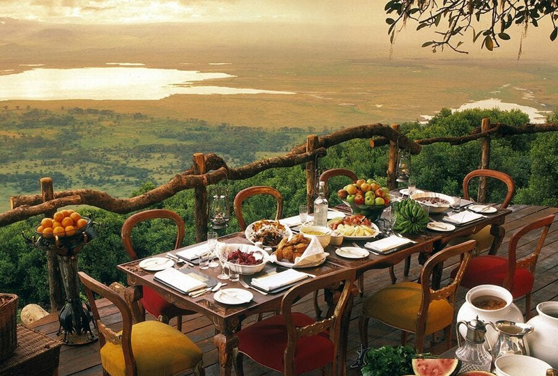 Plant-Based Dining on Safari: From Serengeti to Ngorongoro