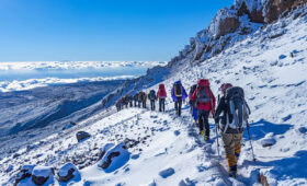 Plant Powered Energy for Your Kilimanjaro Climb