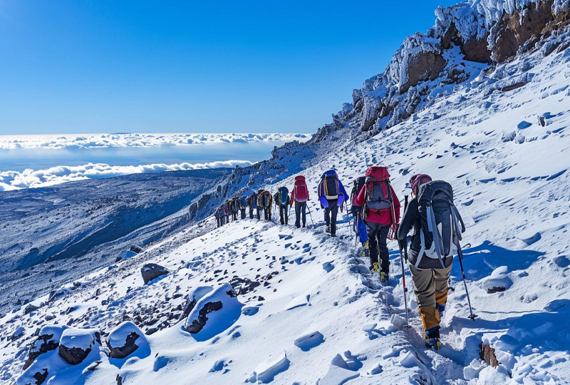 Plant Powered Energy for Your Kilimanjaro Climb