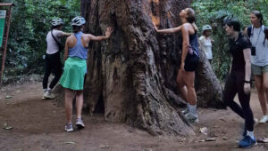 Rau Forest Reserve Hiking