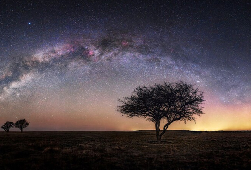 Serengeti Stargazing: A Unique Wildlife & Sky Experience