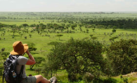 Sustainable and Vegan Travel in Tanzania: What You Should Know