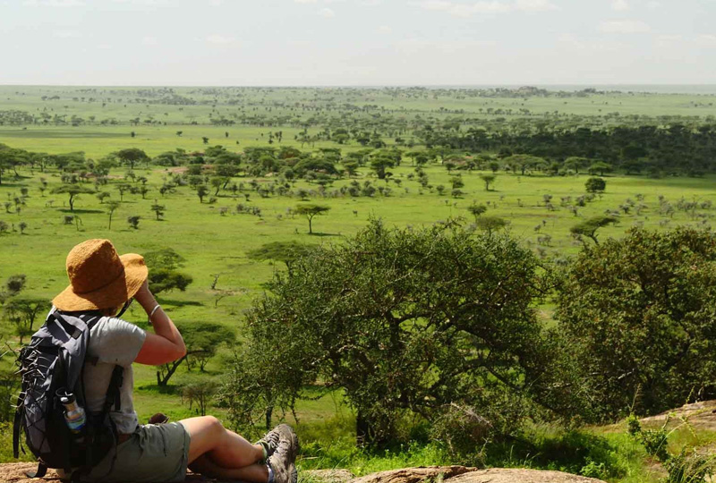 Sustainable and Vegan Travel in Tanzania: What You Should Know