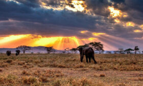 Tanzanian National Parks with the Best Night Skies