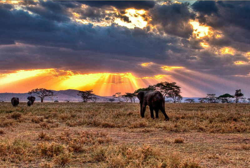 Tanzanian National Parks with the Best Night Skies