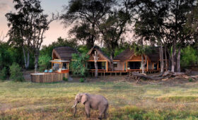 The Rise of Vegan Adventure Tourism in Africa