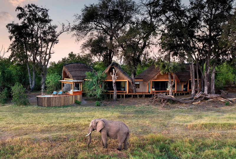 The Rise of Vegan Adventure Tourism in Africa