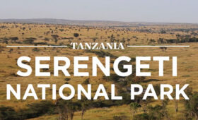 The Vegan Traveler’s Guide to Tanzania’s National Parks