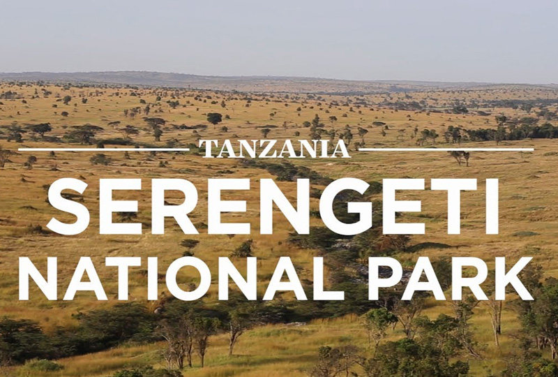 The Vegan Traveler’s Guide to Tanzania’s National Parks