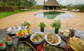 Vegan Food Culture in Tanzania: A Traveler’s Perspective
