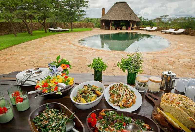Vegan Food Culture in Tanzania: A Traveler’s Perspective