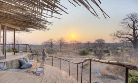 Vegan Safari Lodges in Tanzania