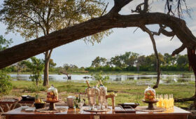 Vegan Luxury Safari Options in Tanzania