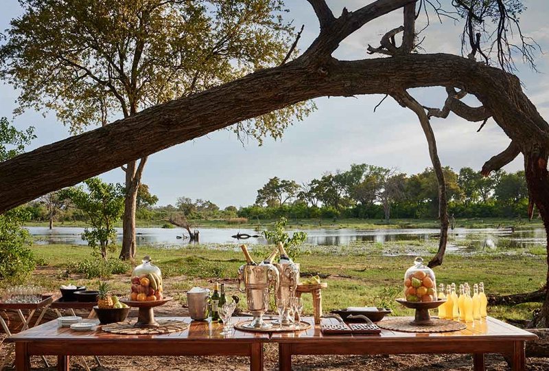 Vegan Luxury Safari Options in Tanzania