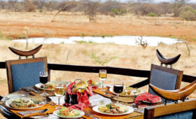 Vegan Safari Meals: What to Expect on Tanzania Wildlife Tours