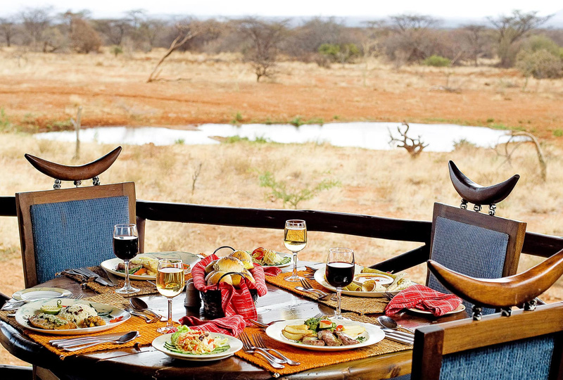 Vegan Safari Meals: What to Expect on Tanzania Wildlife Tours