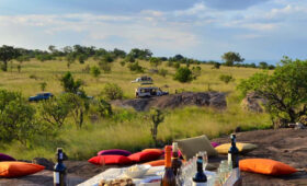 Vegan Safaris in Tanzania: Wildlife Adventures Without Compromise