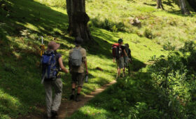 Vegan Travel Insurance Tips for Kilimanjaro Climbs & Safaris