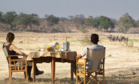 how to explain Vegan Preferences to Tanzanian Safari Camp