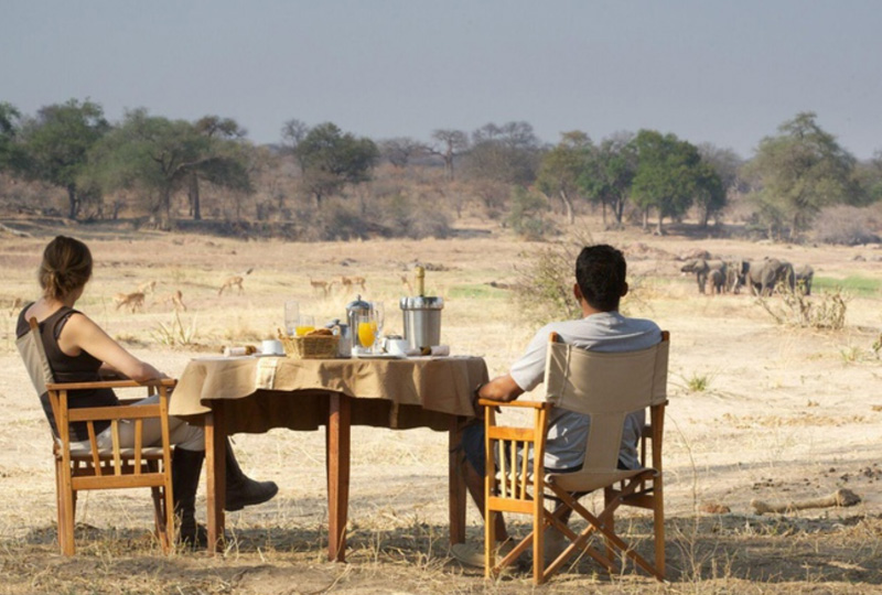how to explain Vegan Preferences to Tanzanian Safari Camp