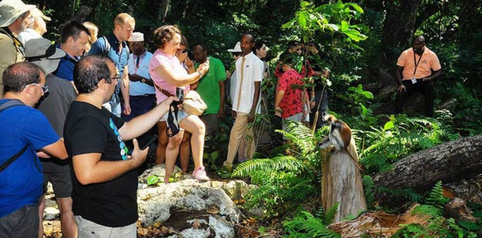 Jozani Forest Tour Day Trip