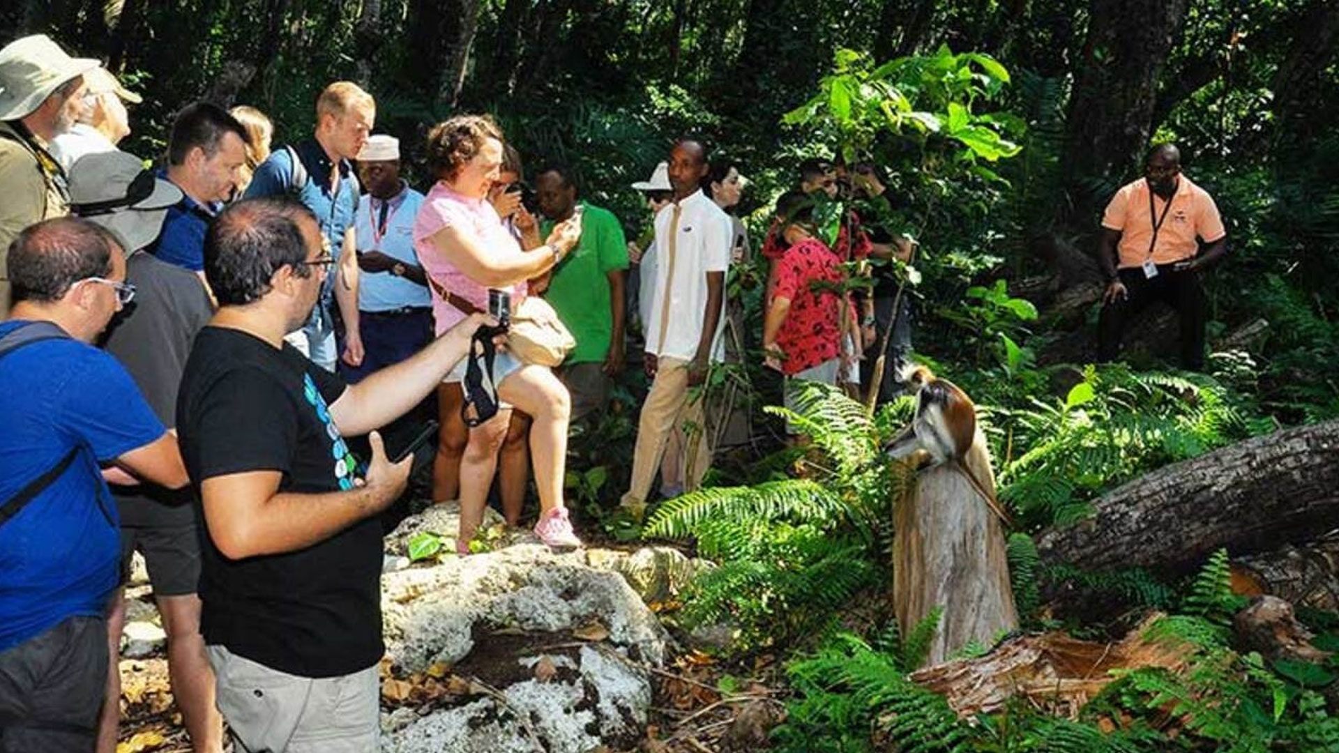 Jozani Forest Tour Day Trip