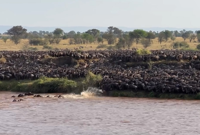 10-Day Great Migration River Crossing and Ngorongoro Safari