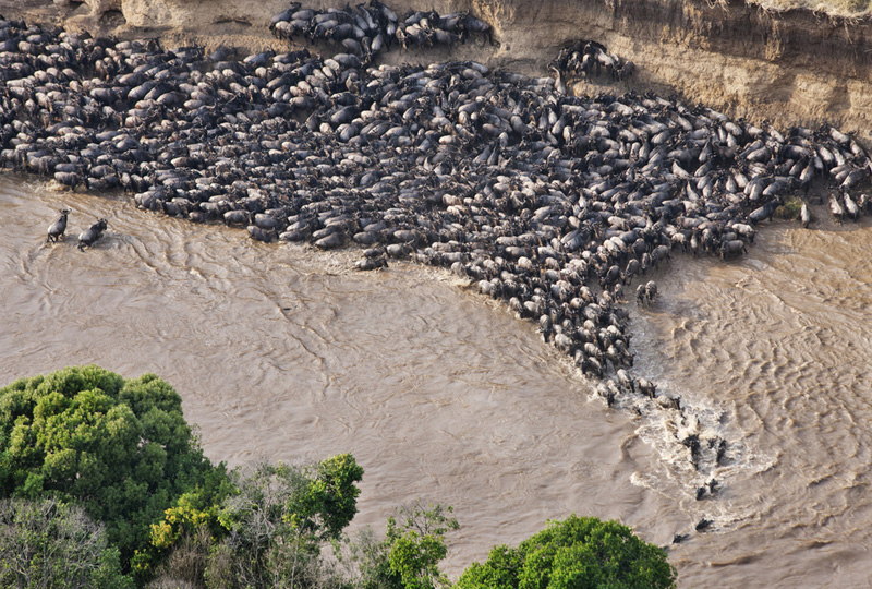 10-Day Great Migration and Mara River Crossing Expedition