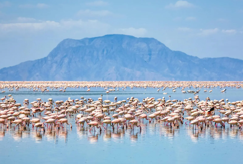 10-Day Tanzania Safari and Lake Natron Exploration