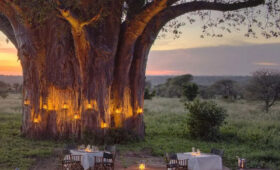 2-Day Tarangire & Ngorongoro Crater Camping Safari