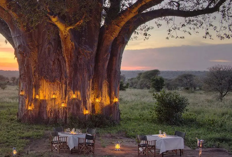 2-Day Tarangire & Ngorongoro Crater Camping Safari