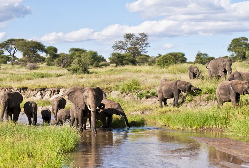 3-Day Tanzania Camping Safari -Tarangire & Ngorongoro