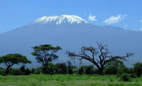 3-Day Tanzania Safari from Arusha or Moshi