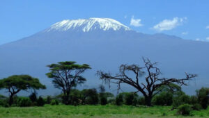 3-Day Tanzania Safari from Arusha or Moshi
