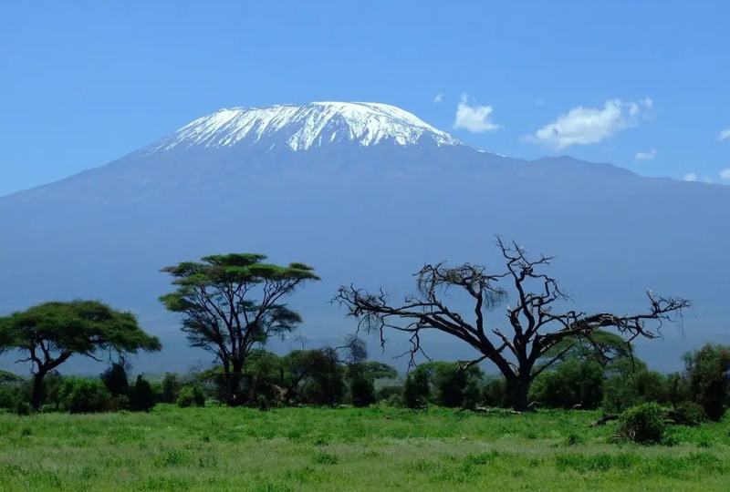 3-Day Tanzania Safari from Arusha or Moshi