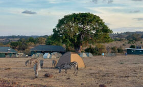3-Day Tarangire-Manyara and Ngorongoro Camping Safari
