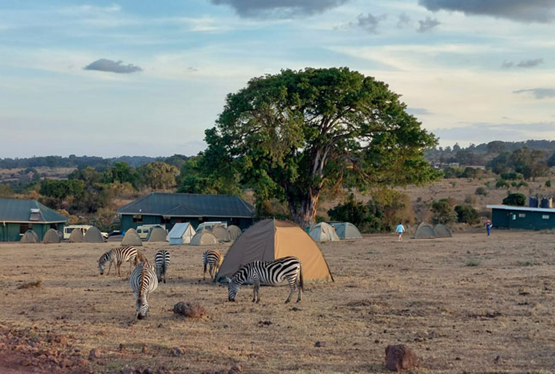 3-Day Tarangire-Manyara and Ngorongoro Camping Safari