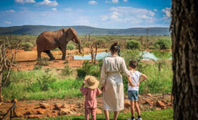 4-Day Tanzania Budget Safari for Families