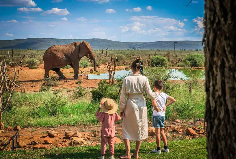 4-Day Tanzania Budget Safari for Families