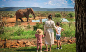 4-Day Tanzania Safari for Families