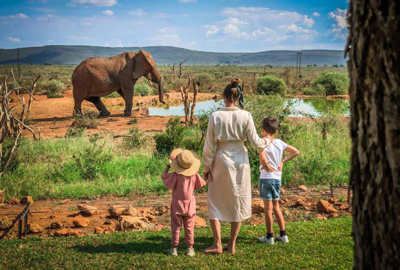 4-Day Tanzania Safari for Families