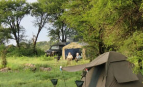 5-Day Tanzania Budget Camping Safari Itinerary