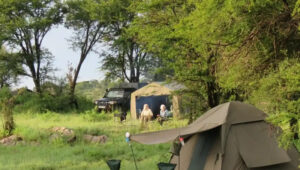 5-Day Tanzania Budget Camping Safari Itinerary